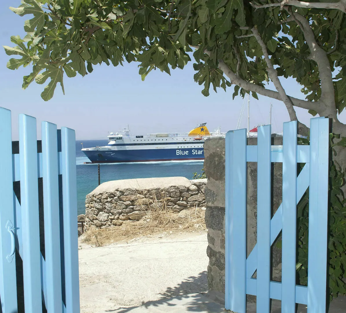 Asimina Hotel Tourlos Guest house